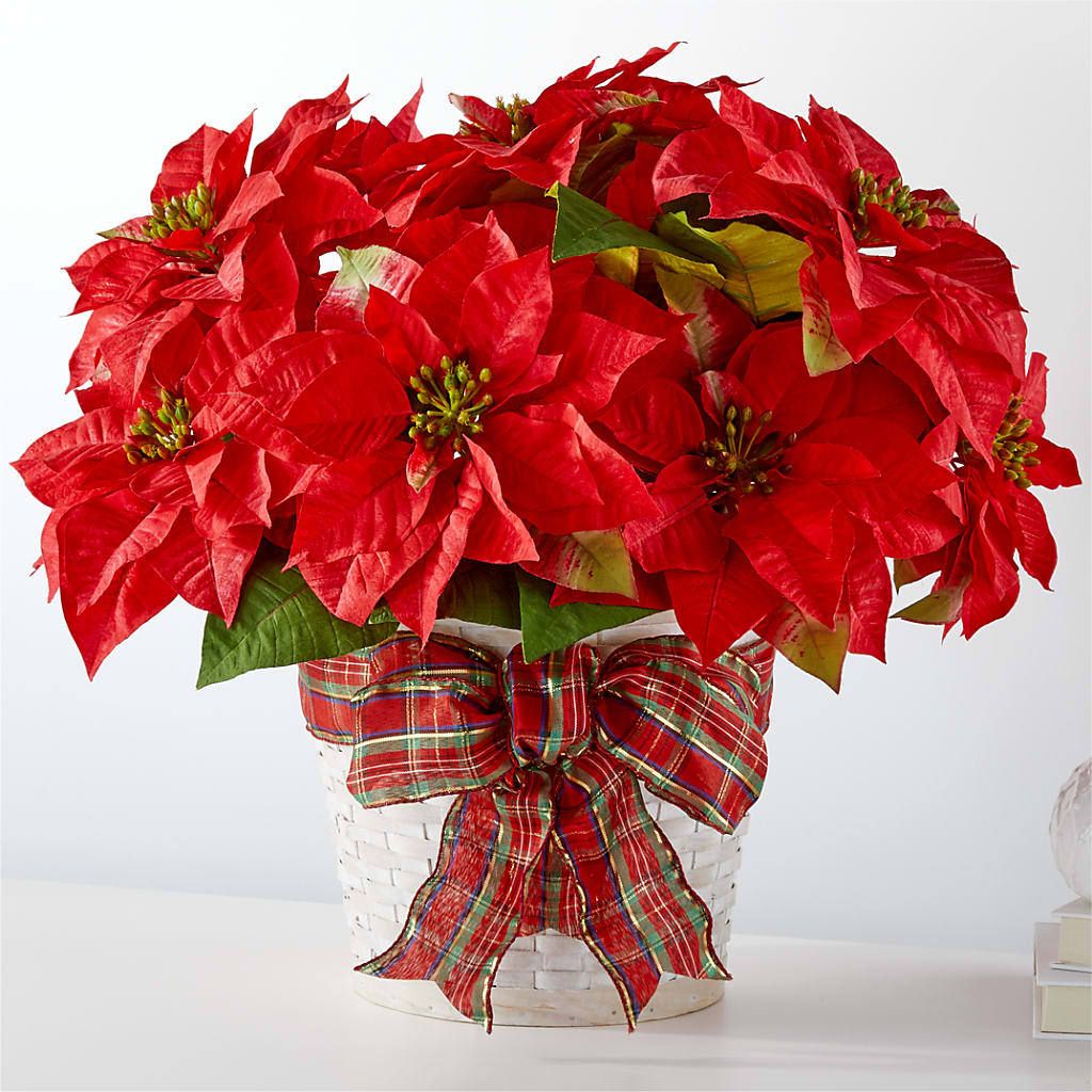 Happiest Holidays Poinsettia – Fleuriste Boutique Du Moulin, L'ile-perrot PQ