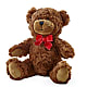 Adorable Plush Bear – Fleuriste Boutique Du Moulin, L'ile-perrot PQ