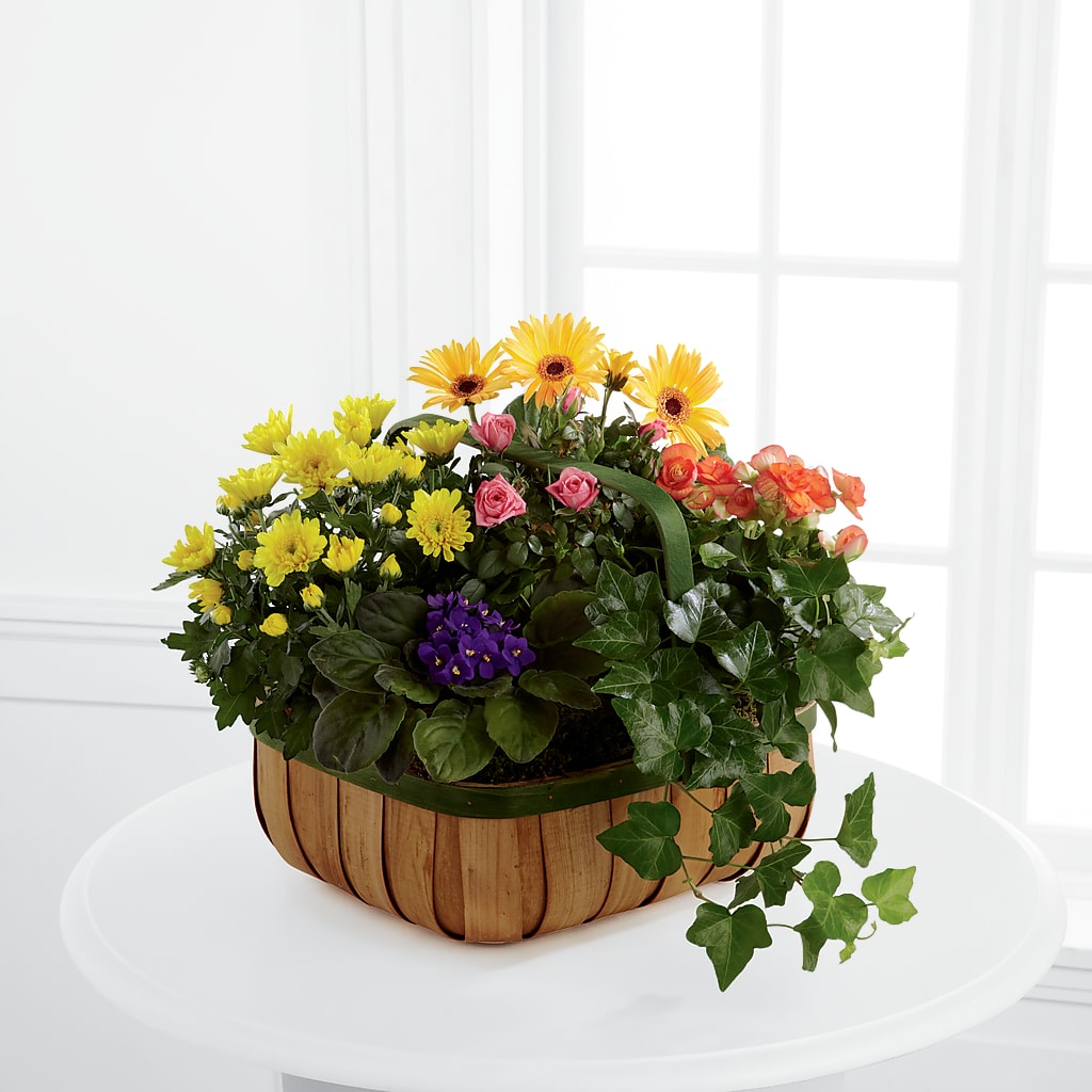 Gentle Blossoms Basket – Fleuriste Boutique Du Moulin, L'ile-perrot PQ