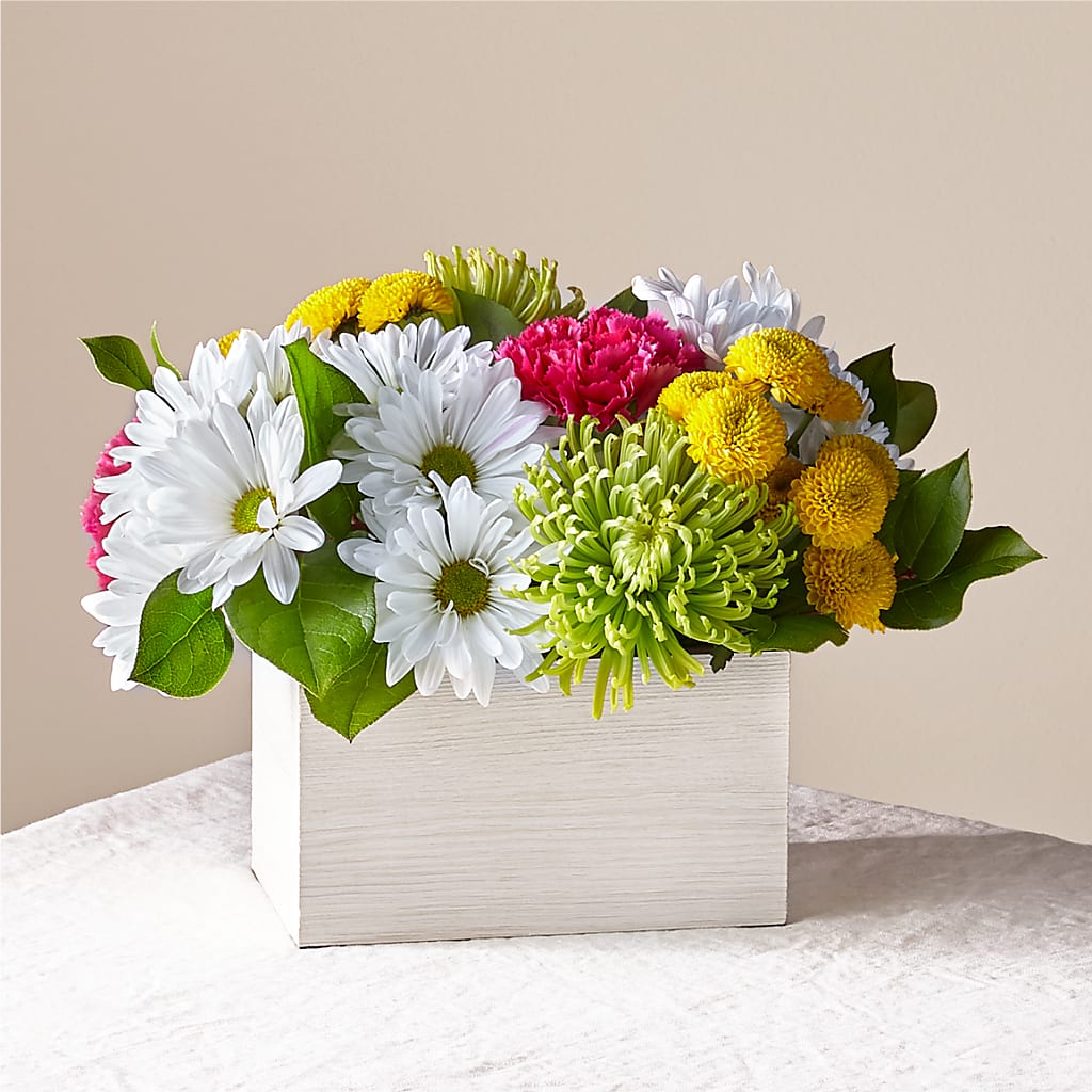 Sorbet Bouquet – Fleuriste Boutique Du Moulin, L'ile-perrot PQ
