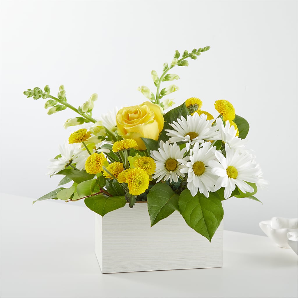 Sun Salutation Box Bouquet – Fleuriste Boutique Du Moulin, L'ile-perrot PQ