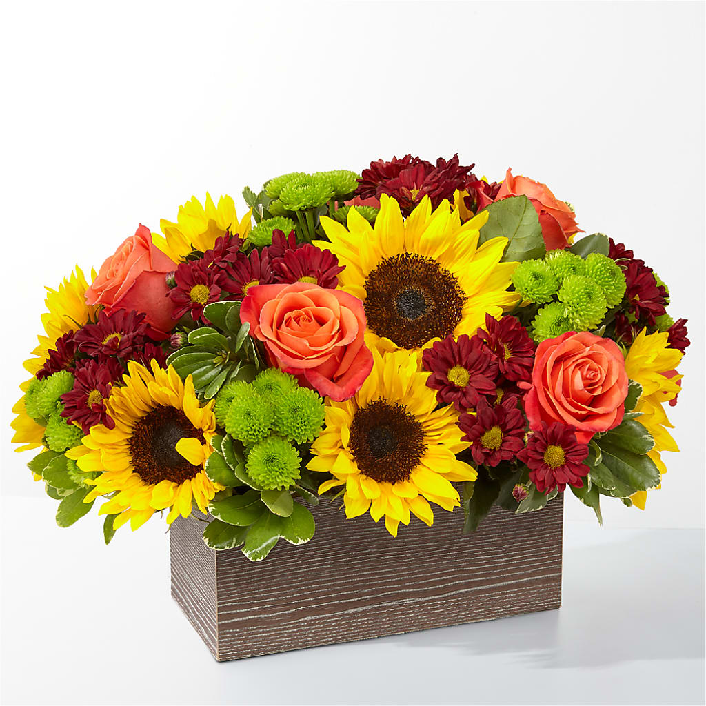 Happy Harvest Garden – Fleuriste Boutique Du Moulin, L'ile-perrot PQ