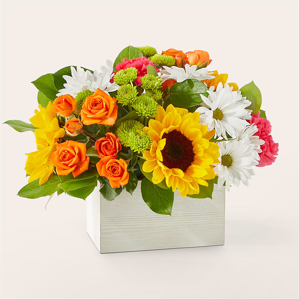 Sun-drenched Blooms Box Bouquet – Fleuriste Boutique Du Moulin, L'ile-perrot PQ