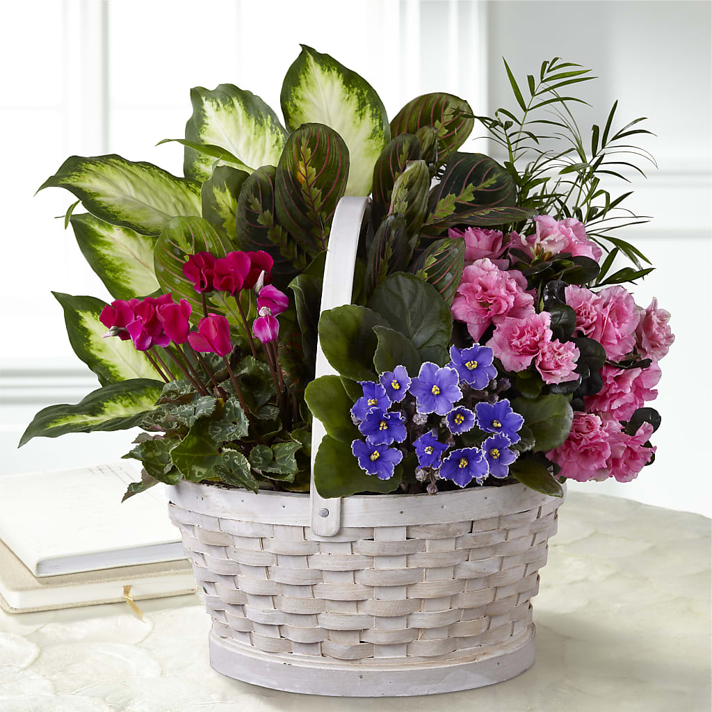 Peaceful Garden Planter – Fleuriste Boutique Du Moulin, L'ile-perrot PQ