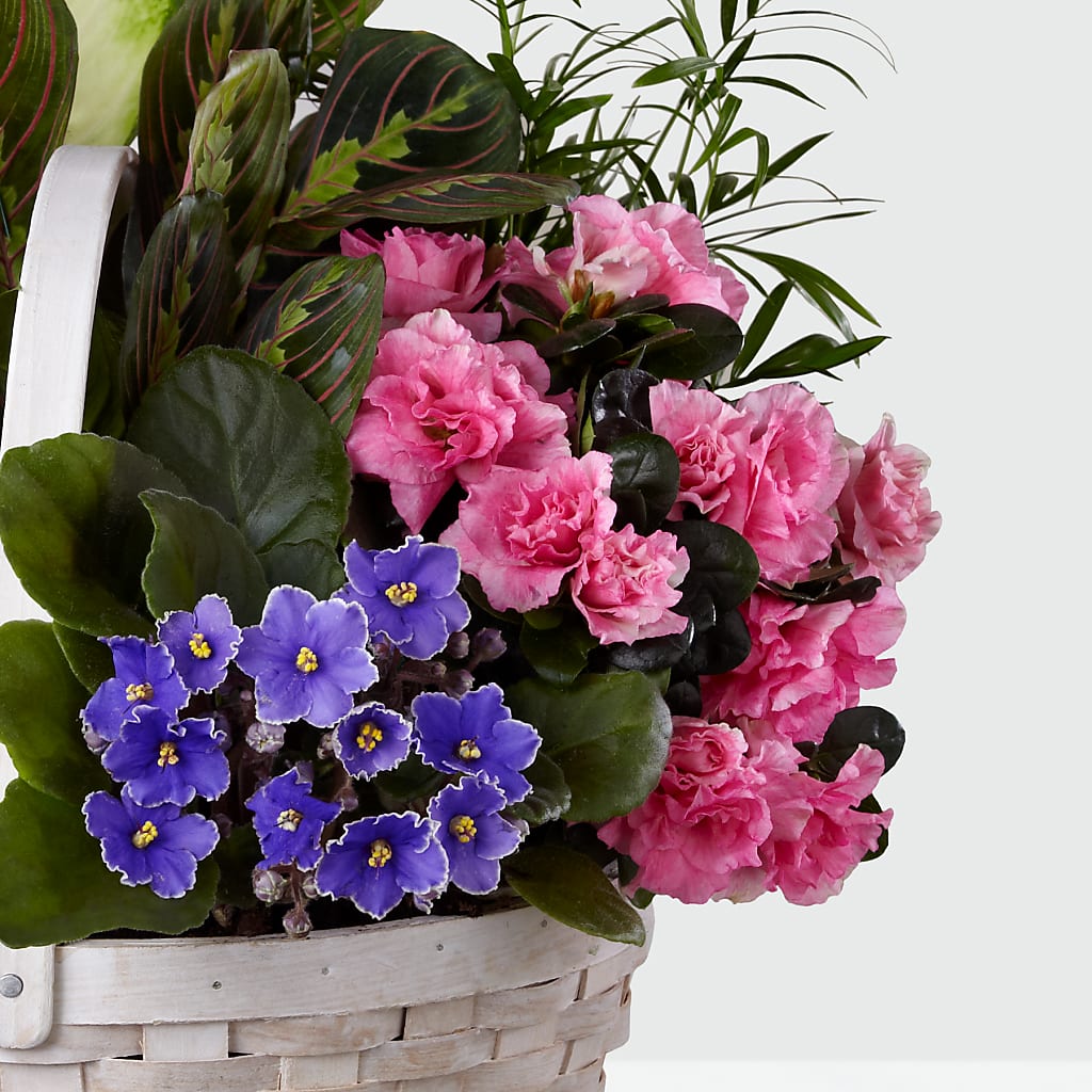 Peaceful Garden Planter – Fleuriste Boutique Du Moulin, L'ile-perrot PQ