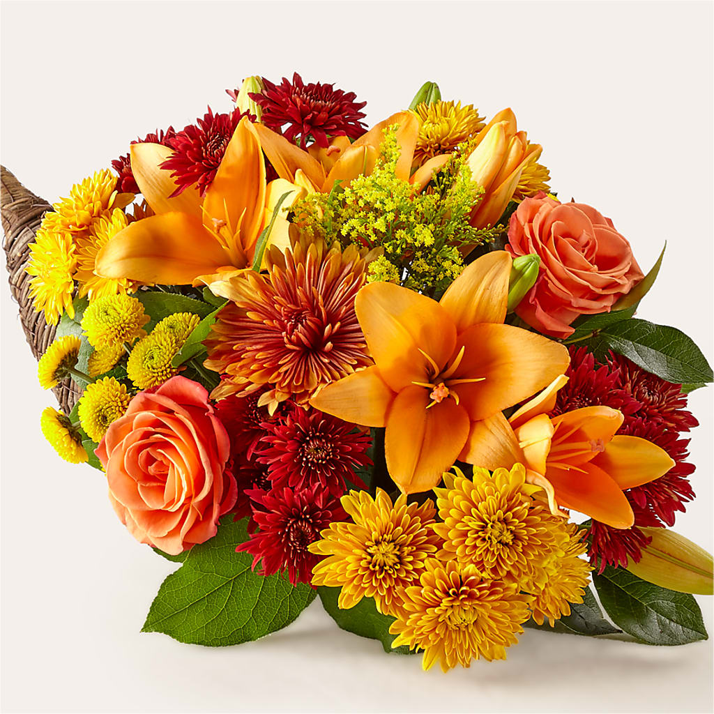 Fiesta de la Cornucopia de Colores