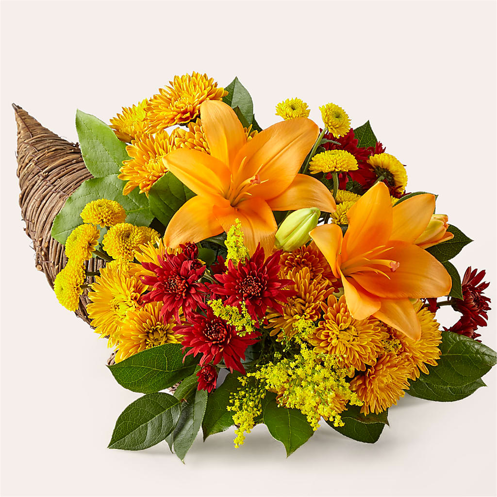 Fiesta de la Cornucopia de Colores