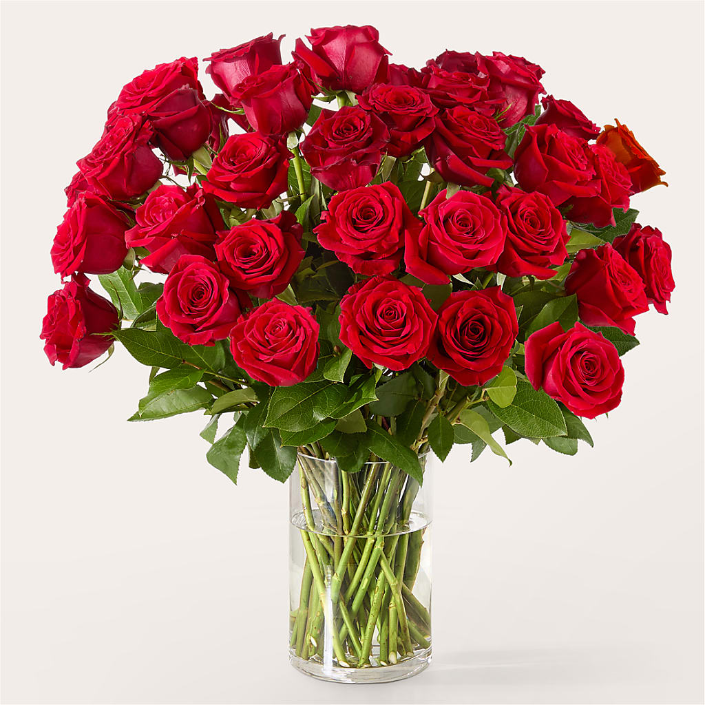 The One Red Rose Bouquet – Fleuriste Boutique Du Moulin, L'ile-perrot PQ