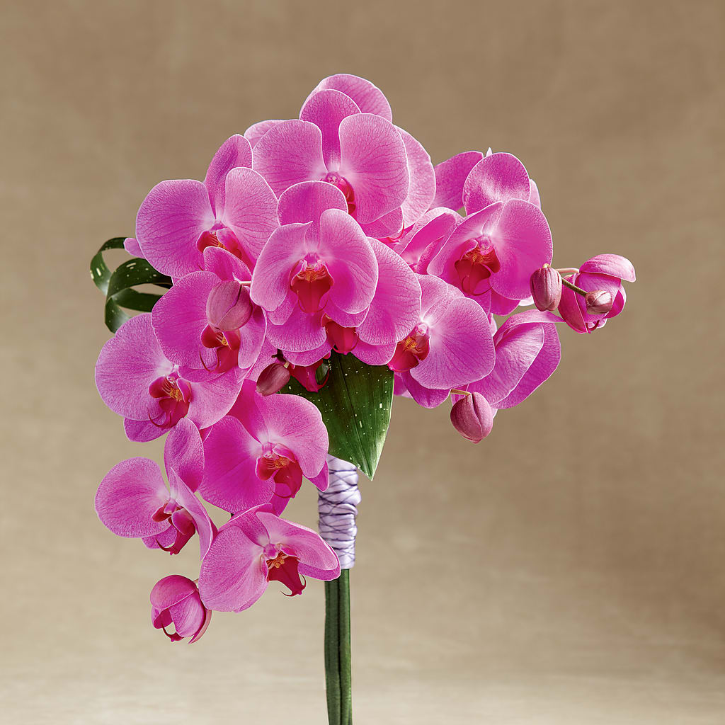 Glorious Bouquet – Fleuriste Boutique Du Moulin, L'ile-perrot PQ