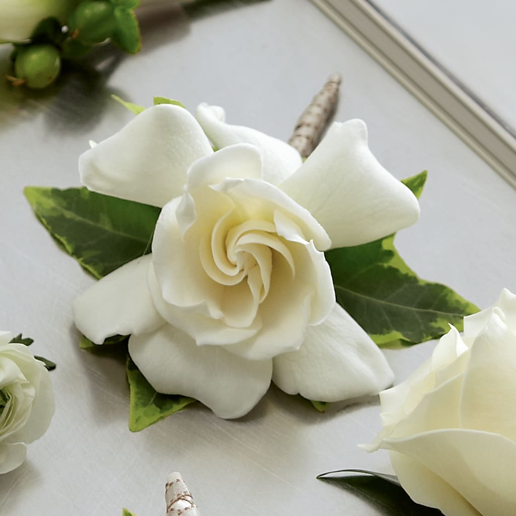 Gardenia Boutonniere – Fleuriste Boutique Du Moulin, L'ile-perrot PQ
