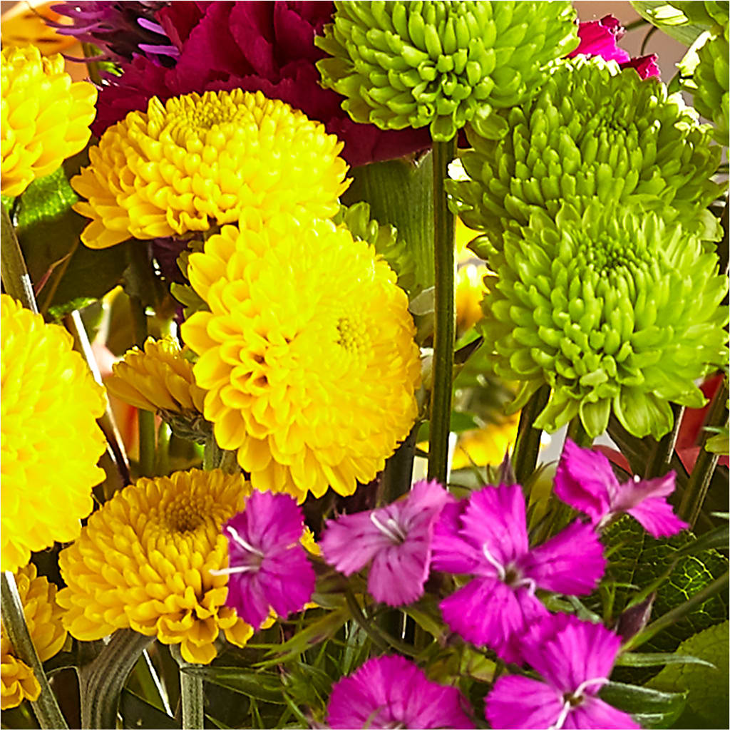 Bold & Bright – A Florist Original –  Fleuriste Boutique Du Moulin, L'ile-perrot PQ
