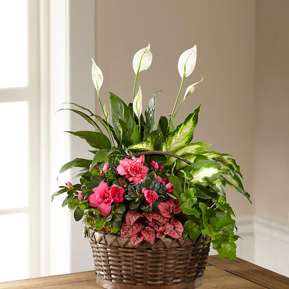 Dream in Pink Dishgarden –  Fleuriste Boutique Du Moulin, L'ile-perrot PQ
