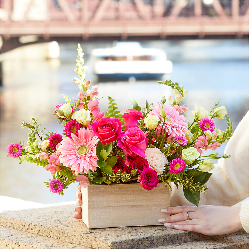 Too Cute Bouquet –  Fleuriste Boutique Du Moulin, L'ile-perrot PQ