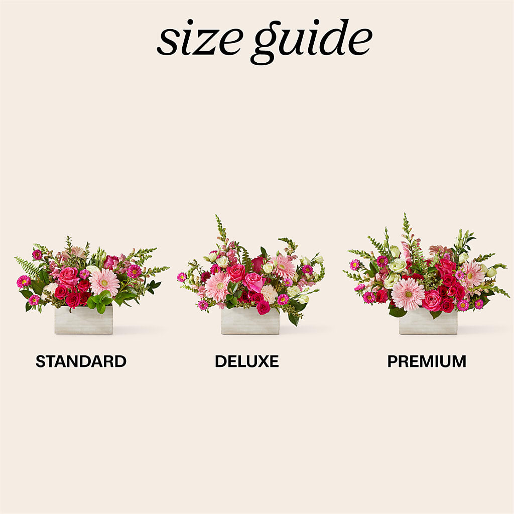 Too Cute Bouquet –  Fleuriste Boutique Du Moulin, L'ile-perrot PQ