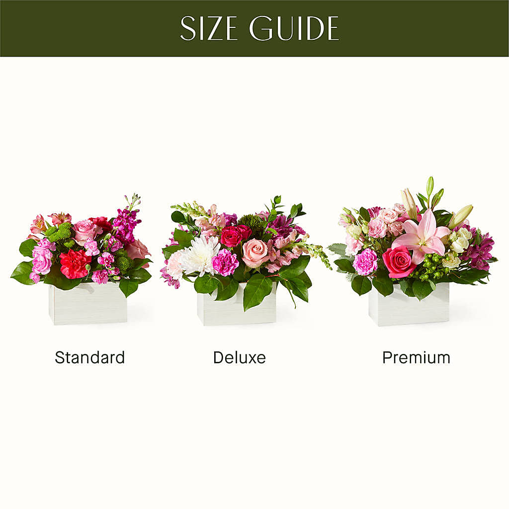 Sweetberry Box – A Florist Original –  Fleuriste Boutique Du Moulin, L'ile-perrot PQ