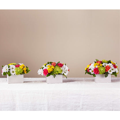 Sorbet Bouquet –  Fleuriste Boutique Du Moulin, L'ile-perrot PQ