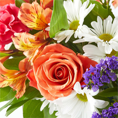 Oopsie Daisy Box Bouquet –  Fleuriste Boutique Du Moulin, L'ile-perrot PQ