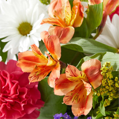 Oopsie Daisy Box Bouquet –  Fleuriste Boutique Du Moulin, L'ile-perrot PQ