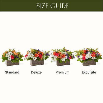 Oopsie Daisy Box Bouquet –  Fleuriste Boutique Du Moulin, L'ile-perrot PQ