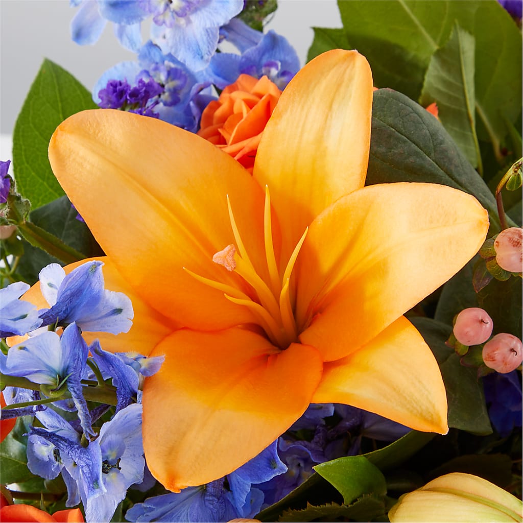 Radiant Citrus Box Bouquet –  Fleuriste Boutique Du Moulin, L'ile-perrot PQ