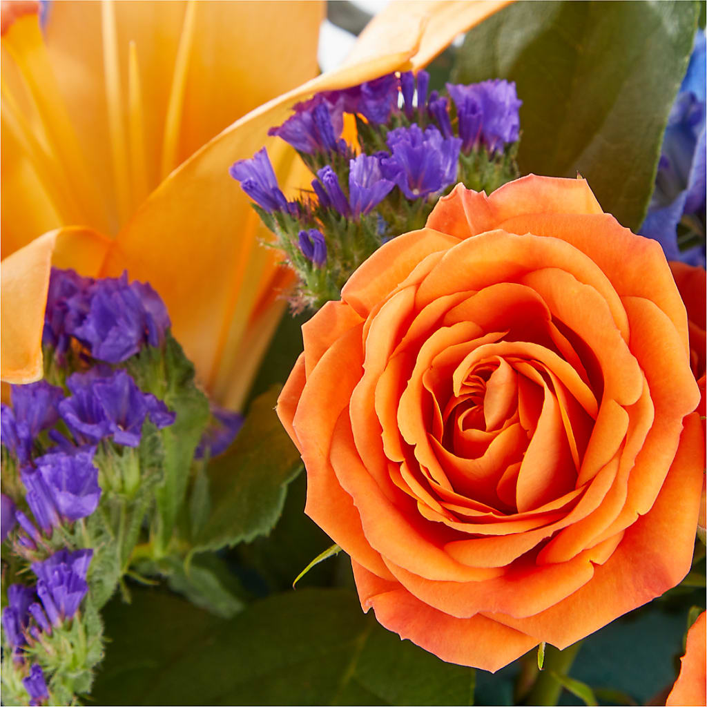 Radiant Citrus Box Bouquet –  Fleuriste Boutique Du Moulin, L'ile-perrot PQ