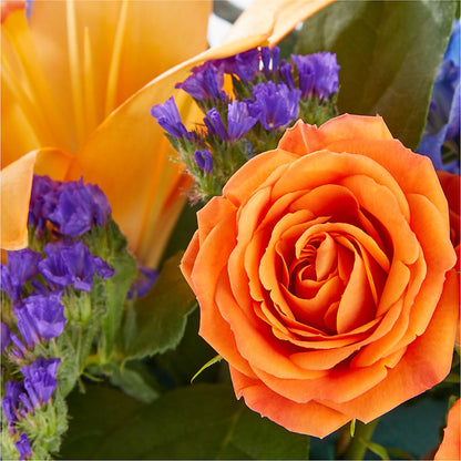 Radiant Citrus Box Bouquet –  Fleuriste Boutique Du Moulin, L'ile-perrot PQ