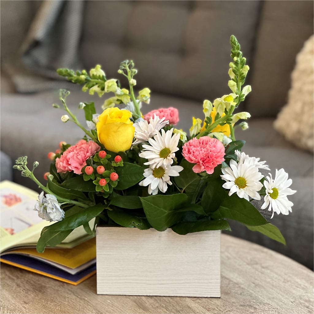 Sun Salutation Box Bouquet –  Fleuriste Boutique Du Moulin, L'ile-perrot PQ