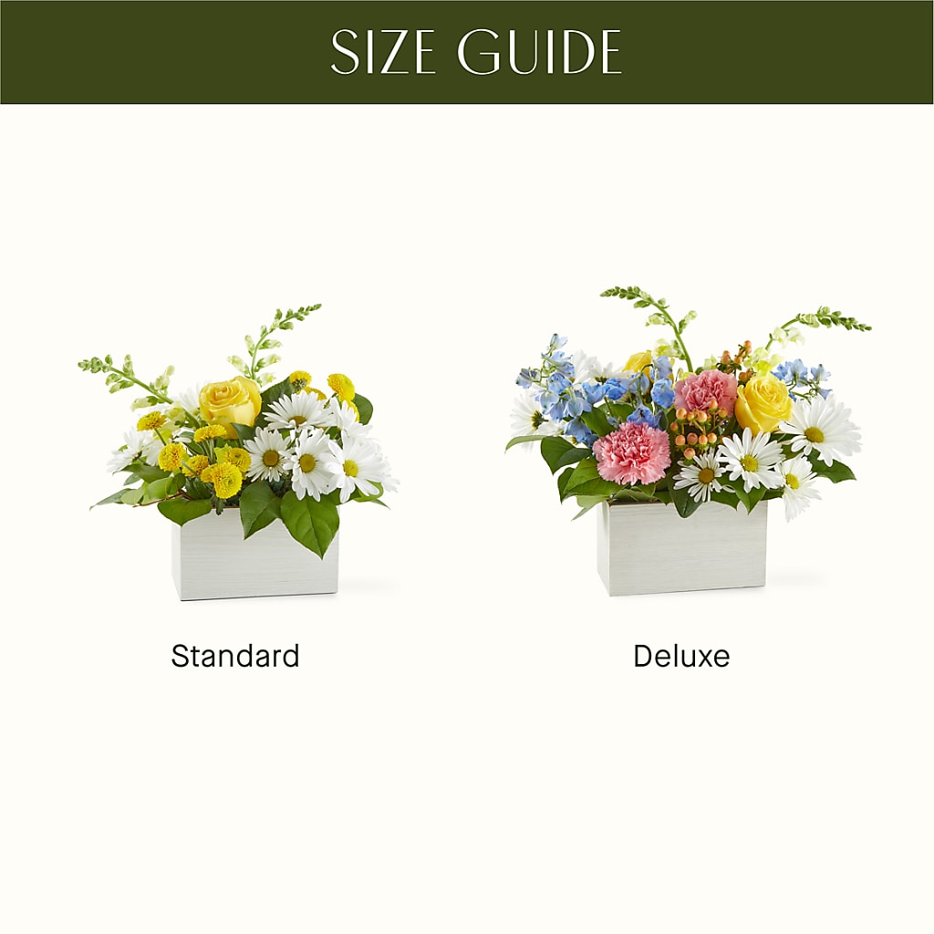 Sun Salutation Box Bouquet –  Fleuriste Boutique Du Moulin, L'ile-perrot PQ