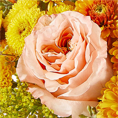 Peachy Pumpkin –  Fleuriste Boutique Du Moulin, L'ile-perrot PQ