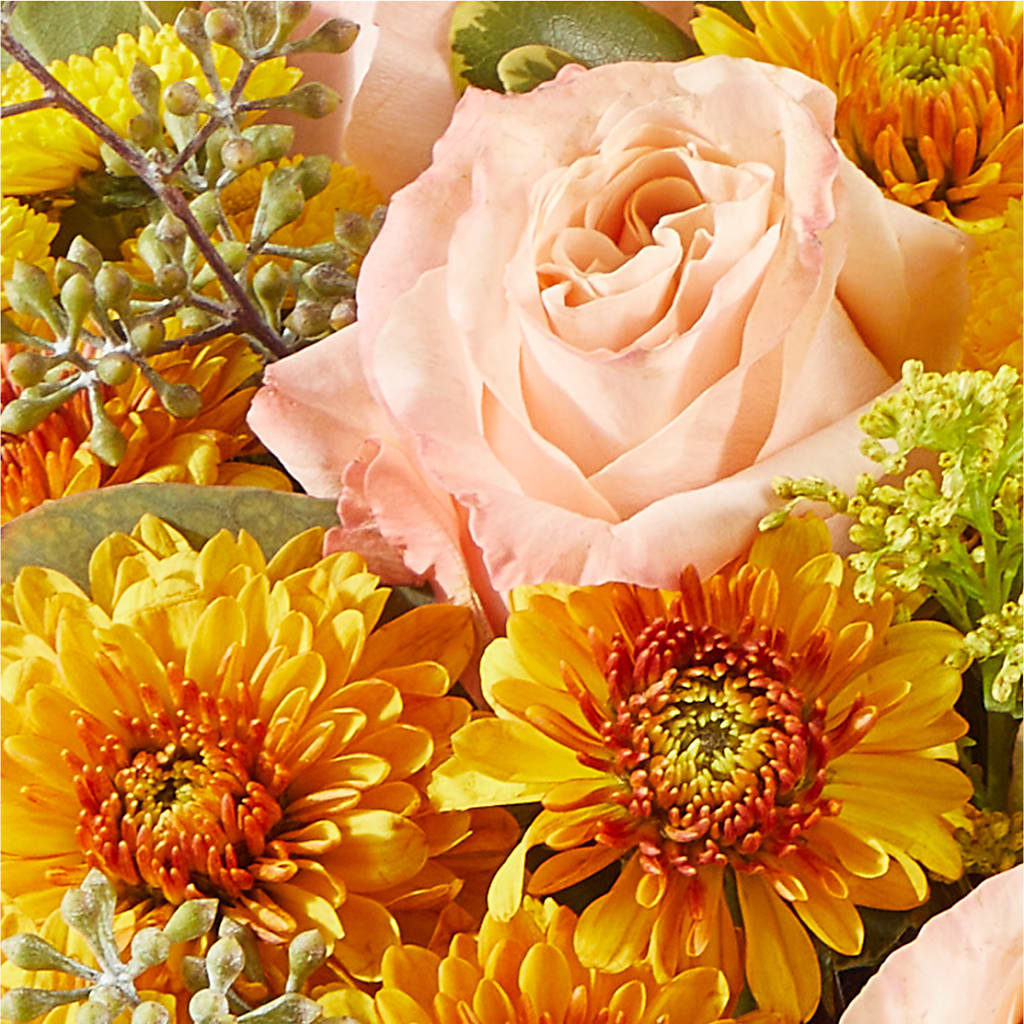 Peachy Pumpkin –  Fleuriste Boutique Du Moulin, L'ile-perrot PQ