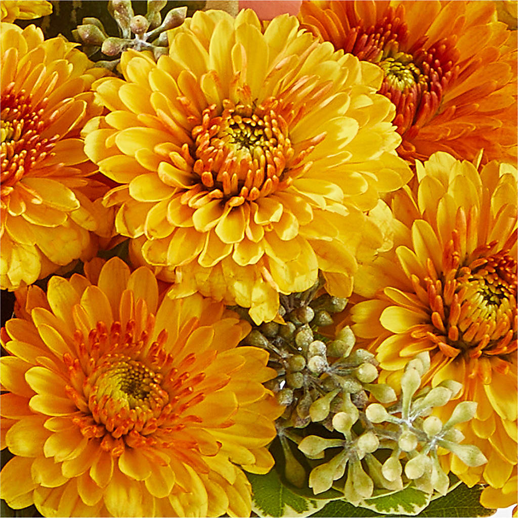 Peachy Pumpkin –  Fleuriste Boutique Du Moulin, L'ile-perrot PQ