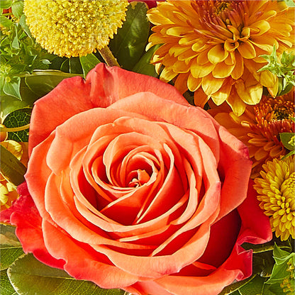 Gourdgeous Pumpkin –  Fleuriste Boutique Du Moulin, L'ile-perrot PQ