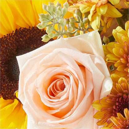 Pumpkin to Talk About Bouquet –  Fleuriste Boutique Du Moulin, L'ile-perrot PQ