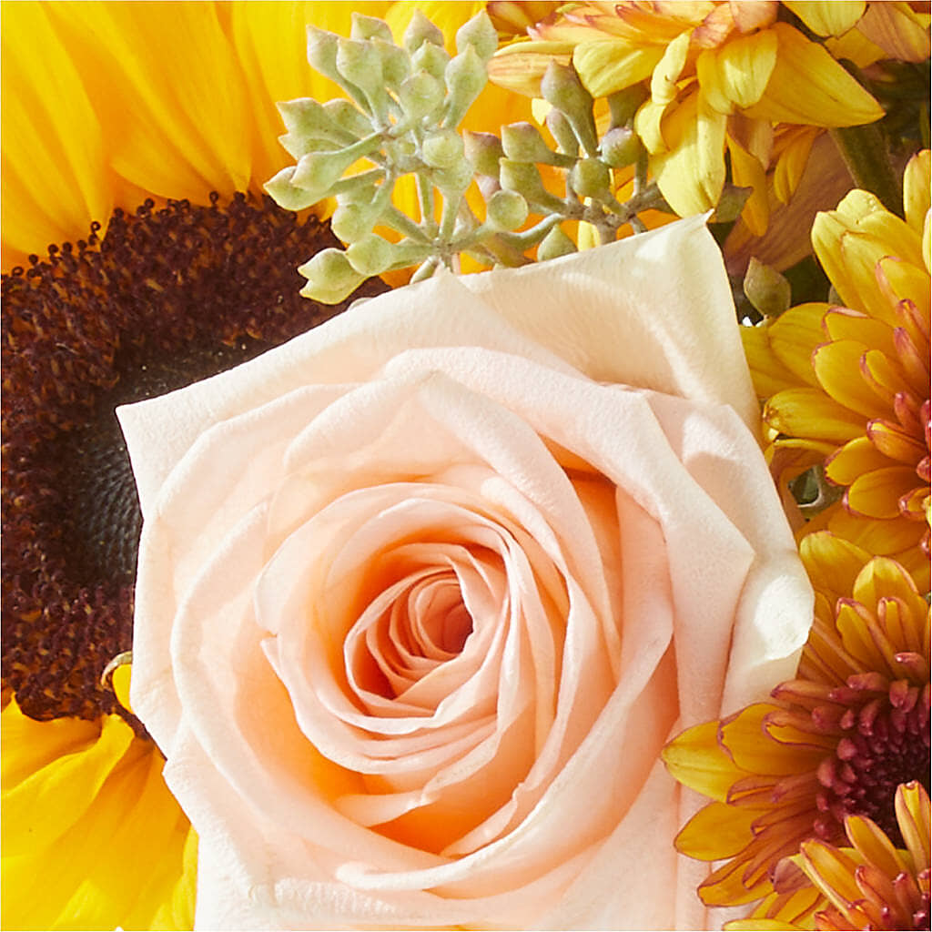 Pumpkin to Talk About Bouquet –  Fleuriste Boutique Du Moulin, L'ile-perrot PQ