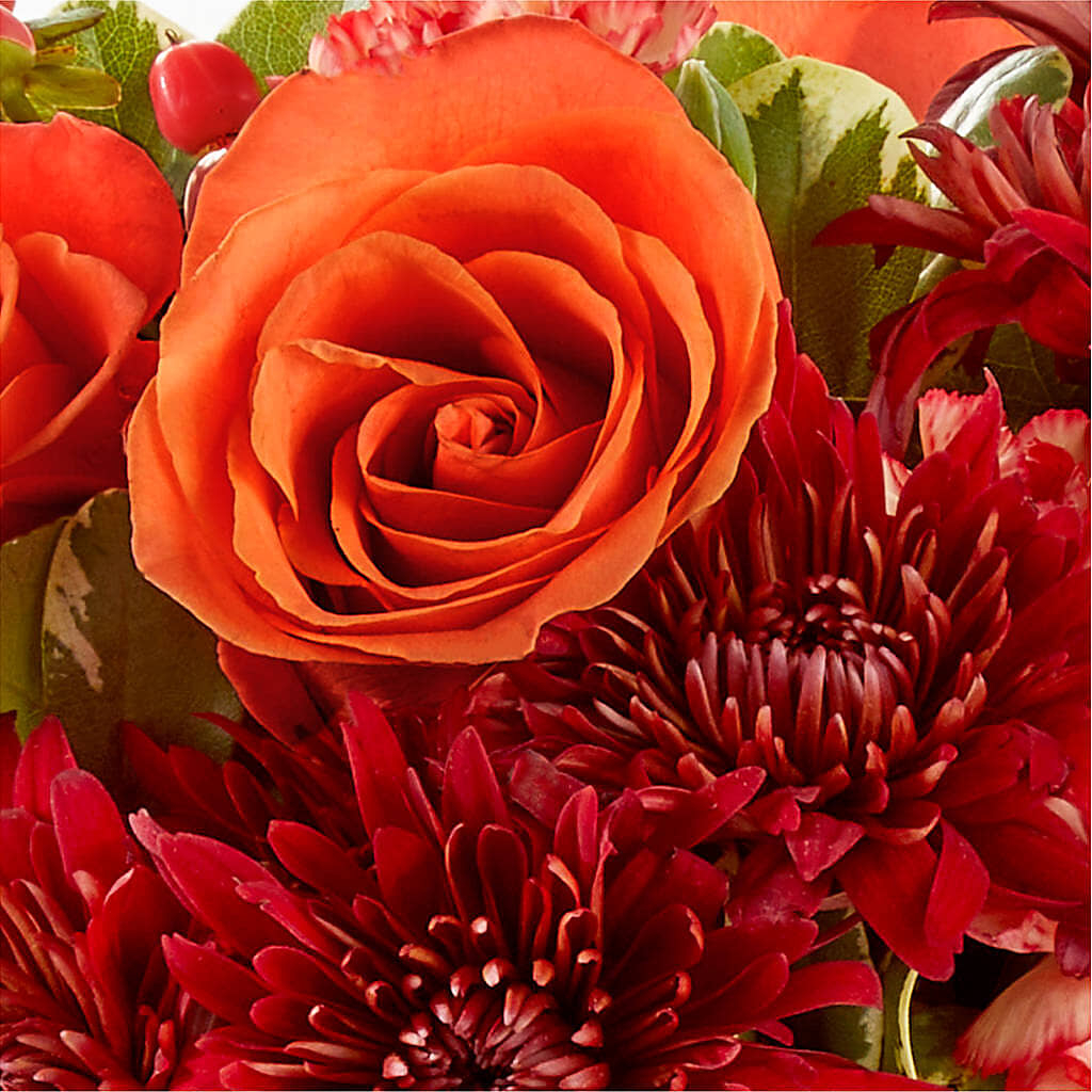 Autumn Air Pumpkin Bouquet –  Fleuriste Boutique Du Moulin, L'ile-perrot PQ