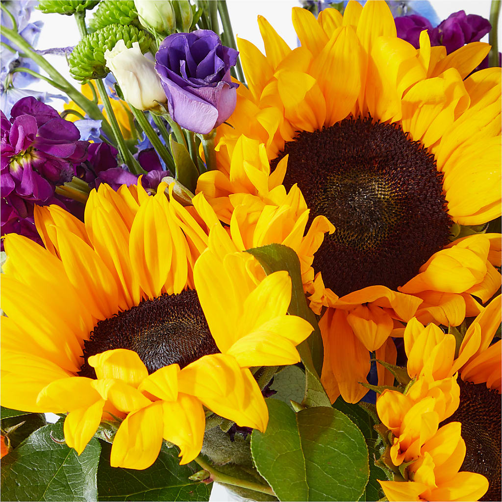 Catching Rays Bouquet –  Fleuriste Boutique Du Moulin, L'ile-perrot PQ