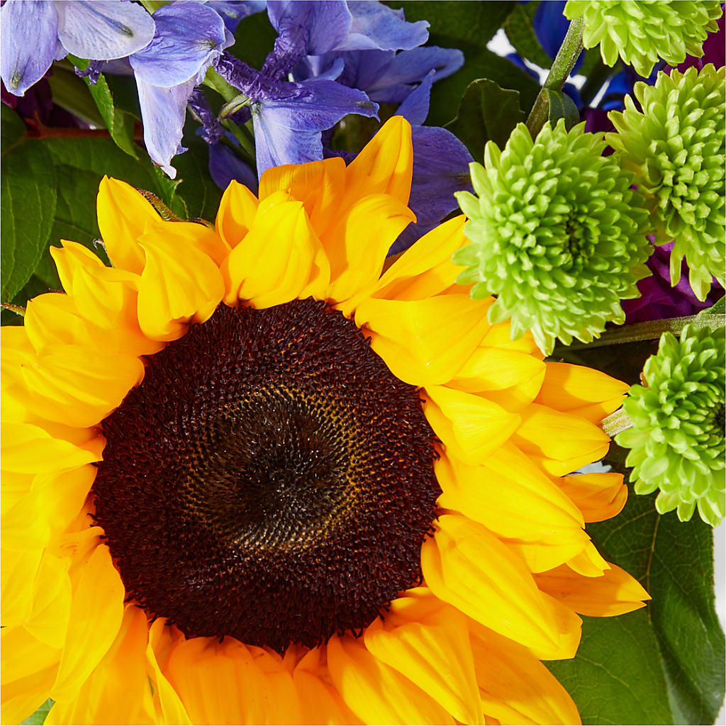 Catching Rays Bouquet –  Fleuriste Boutique Du Moulin, L'ile-perrot PQ