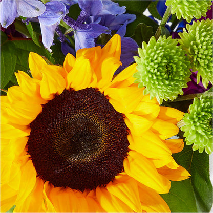 Catching Rays Bouquet –  Fleuriste Boutique Du Moulin, L'ile-perrot PQ