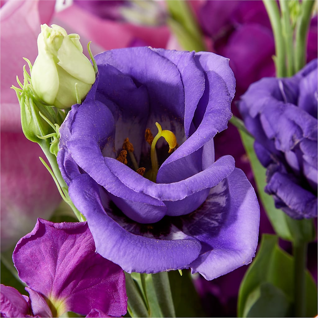 Twilight Glow Bouquet –  Fleuriste Boutique Du Moulin, L'ile-perrot PQ