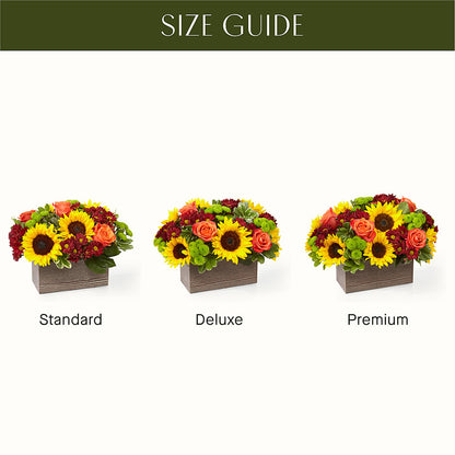 Happy Harvest Garden –  Fleuriste Boutique Du Moulin, L'ile-perrot PQ