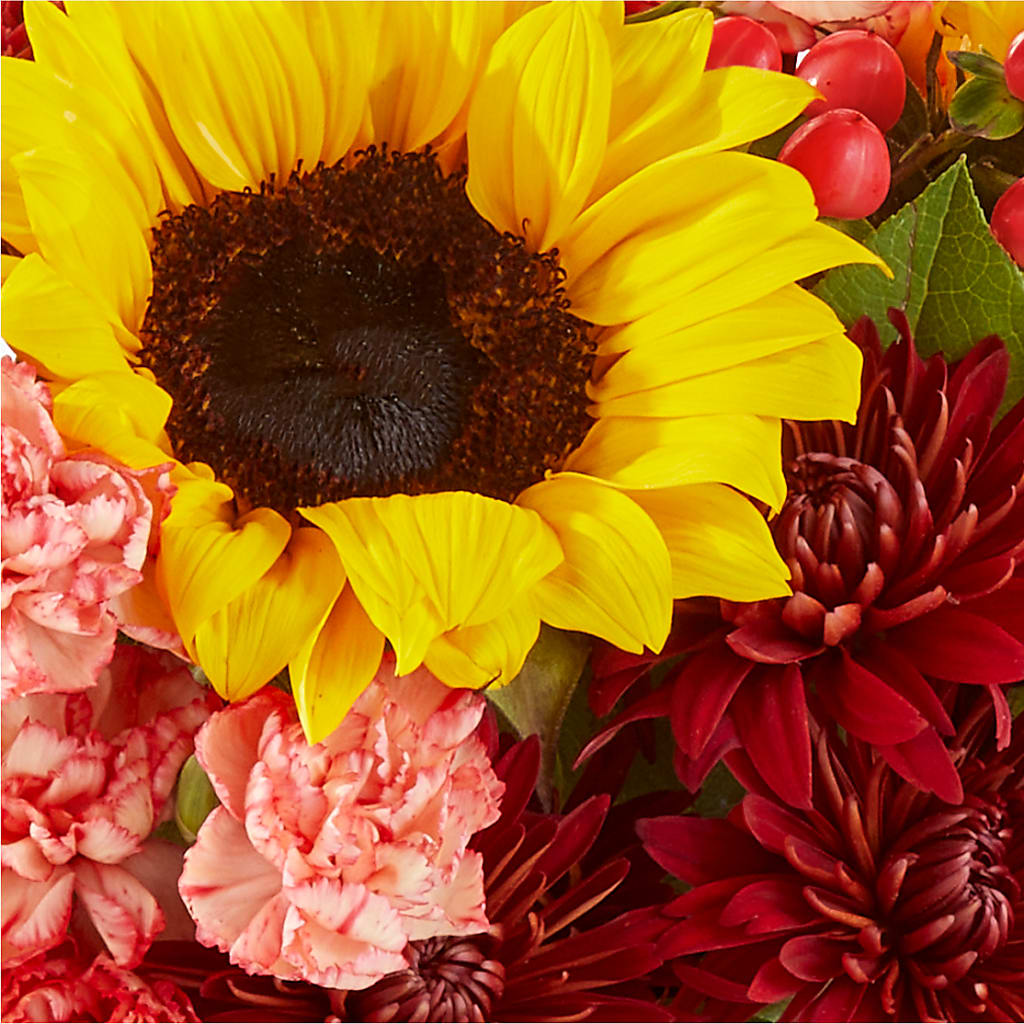 Fresh Cider Bouquet –  Fleuriste Boutique Du Moulin, L'ile-perrot PQ
