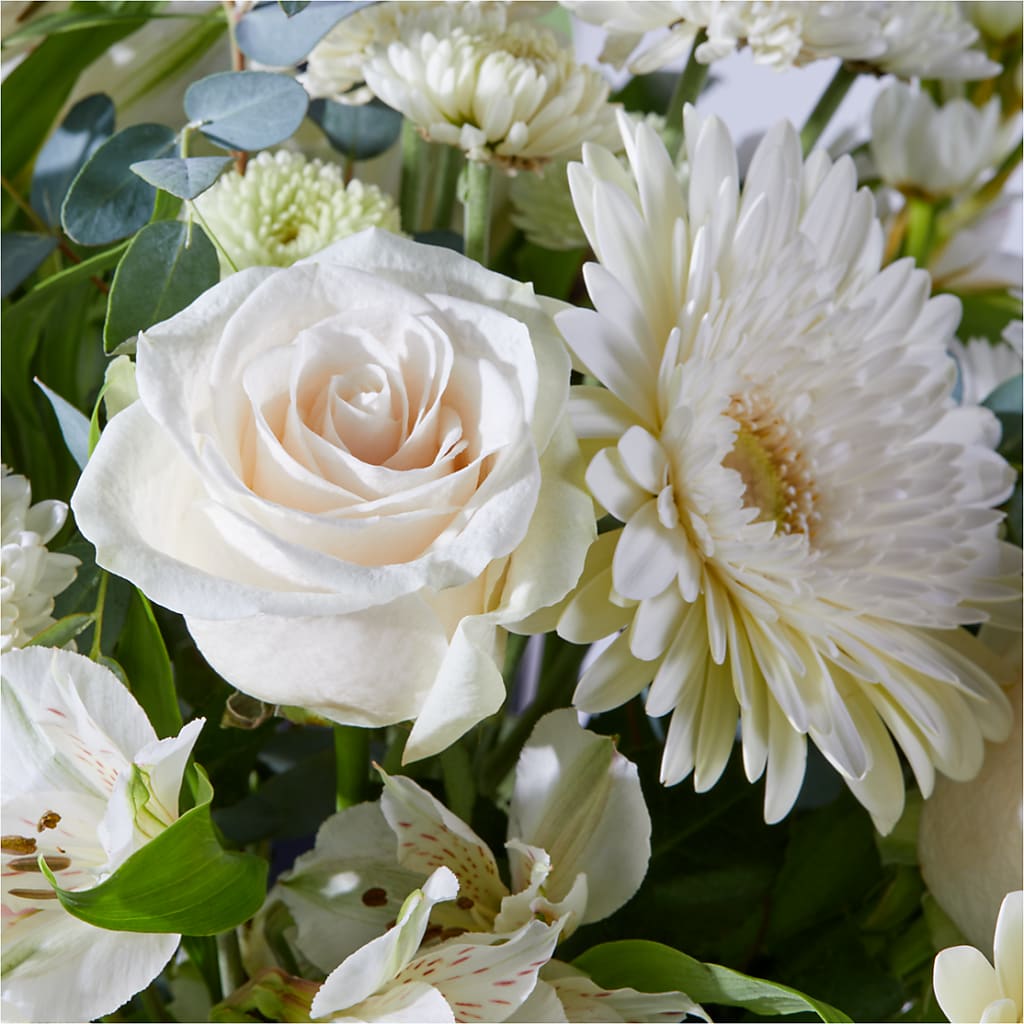 New Beginnings – A Florist Original –  Fleuriste Boutique Du Moulin, L'ile-perrot PQ