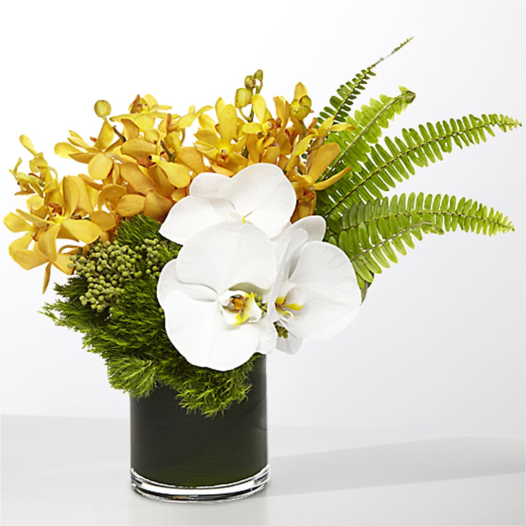 The Tropics –  Fleuriste Boutique Du Moulin, L'ile-perrot PQ