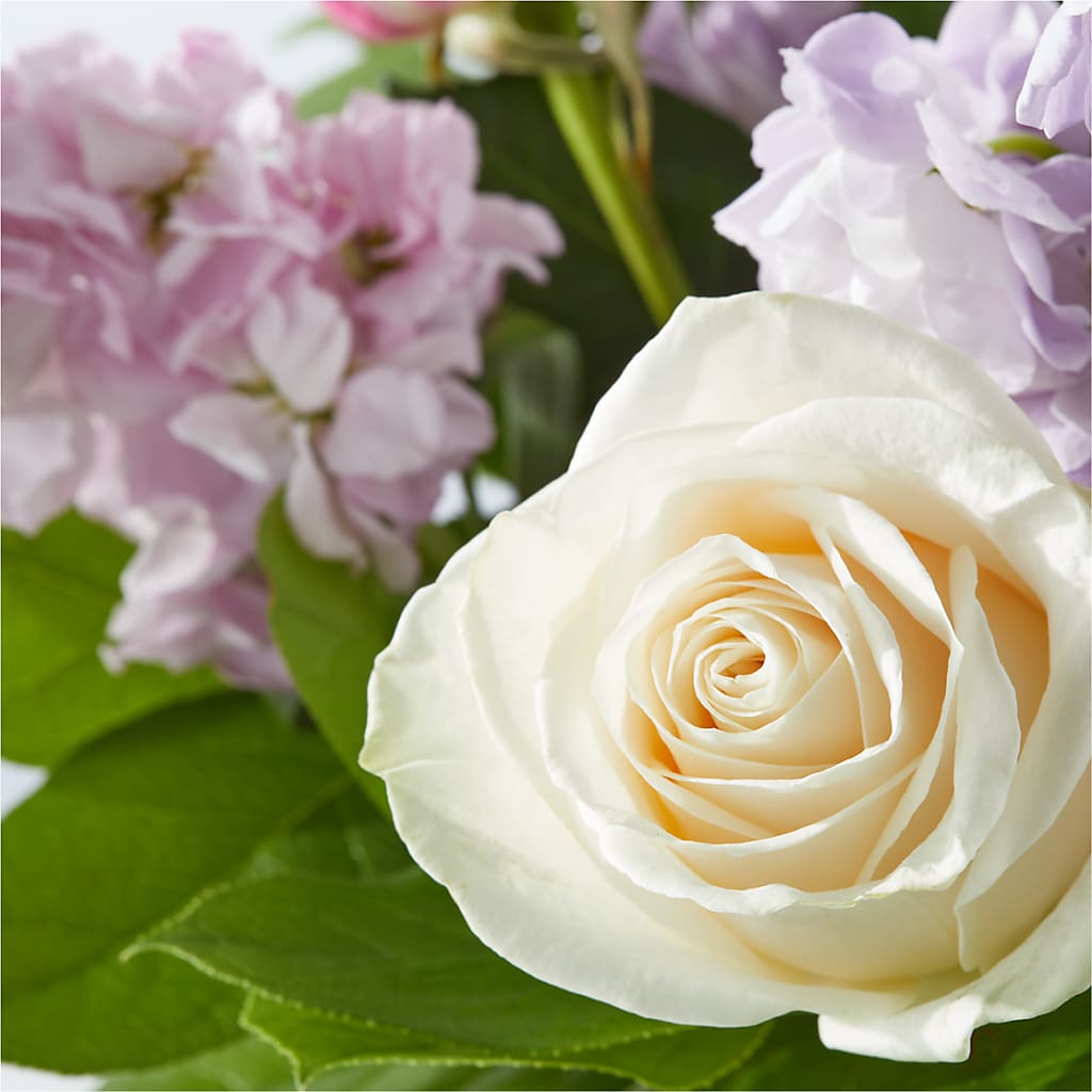 Springtime Spritz Bouquet –  Fleuriste Boutique Du Moulin, L'ile-perrot PQ