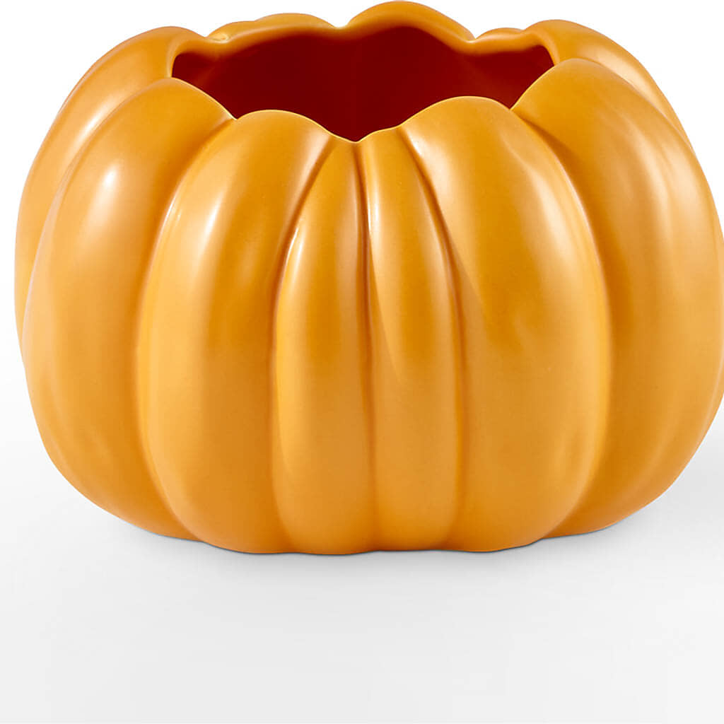 Golden Gourd Pumpkin Bouquet –  Fleuriste Boutique Du Moulin, L'ile-perrot PQ