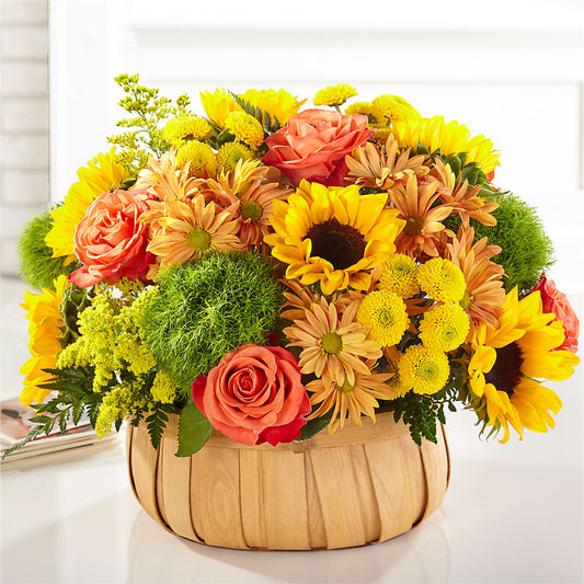 Harvest Sunflower Basket –  Fleuriste Boutique Du Moulin, L'ile-perrot PQ