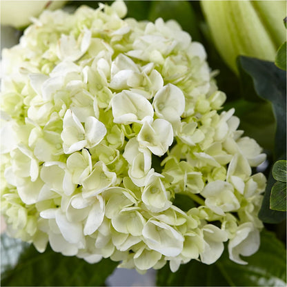 Classic Ivory – A Florist Original –  Fleuriste Boutique Du Moulin, L'ile-perrot PQ