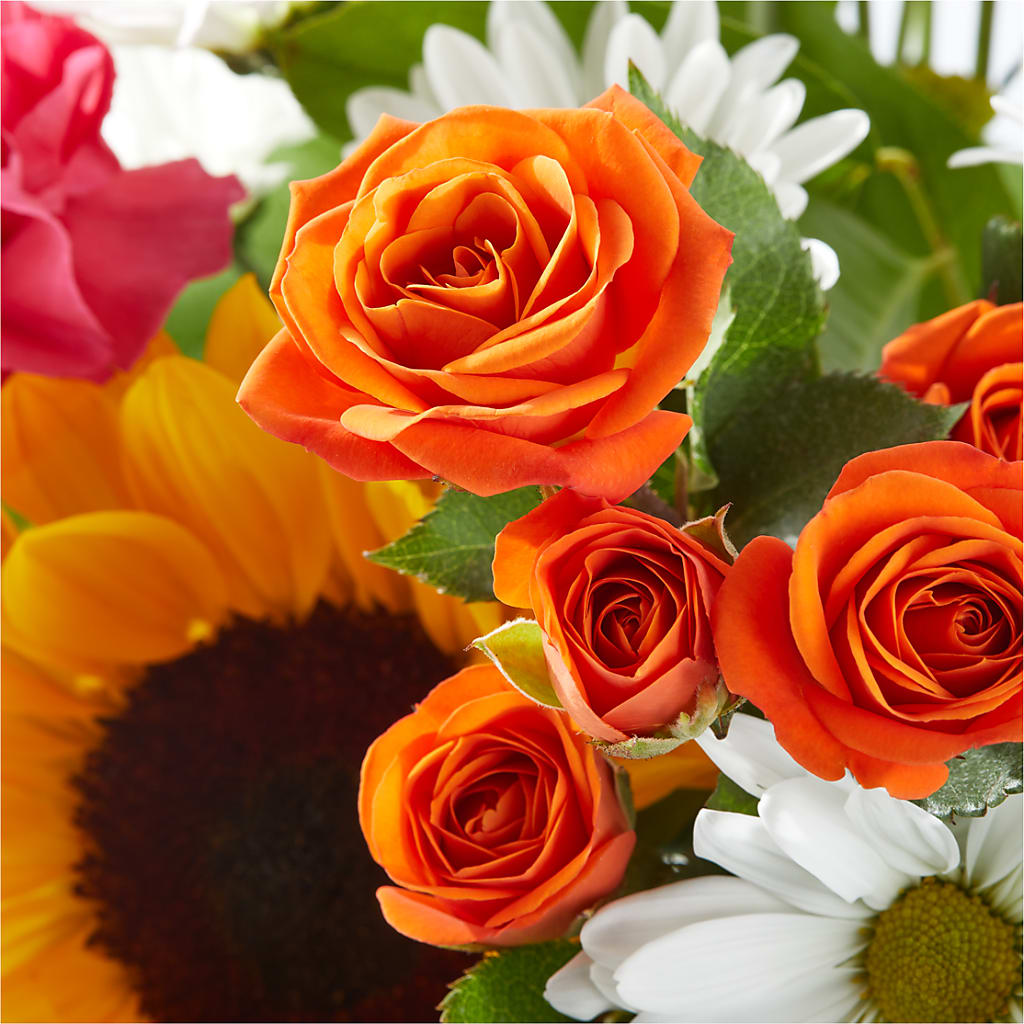 Sun-drenched Blooms Bouquet –  Fleuriste Boutique Du Moulin, L'ile-perrot PQ