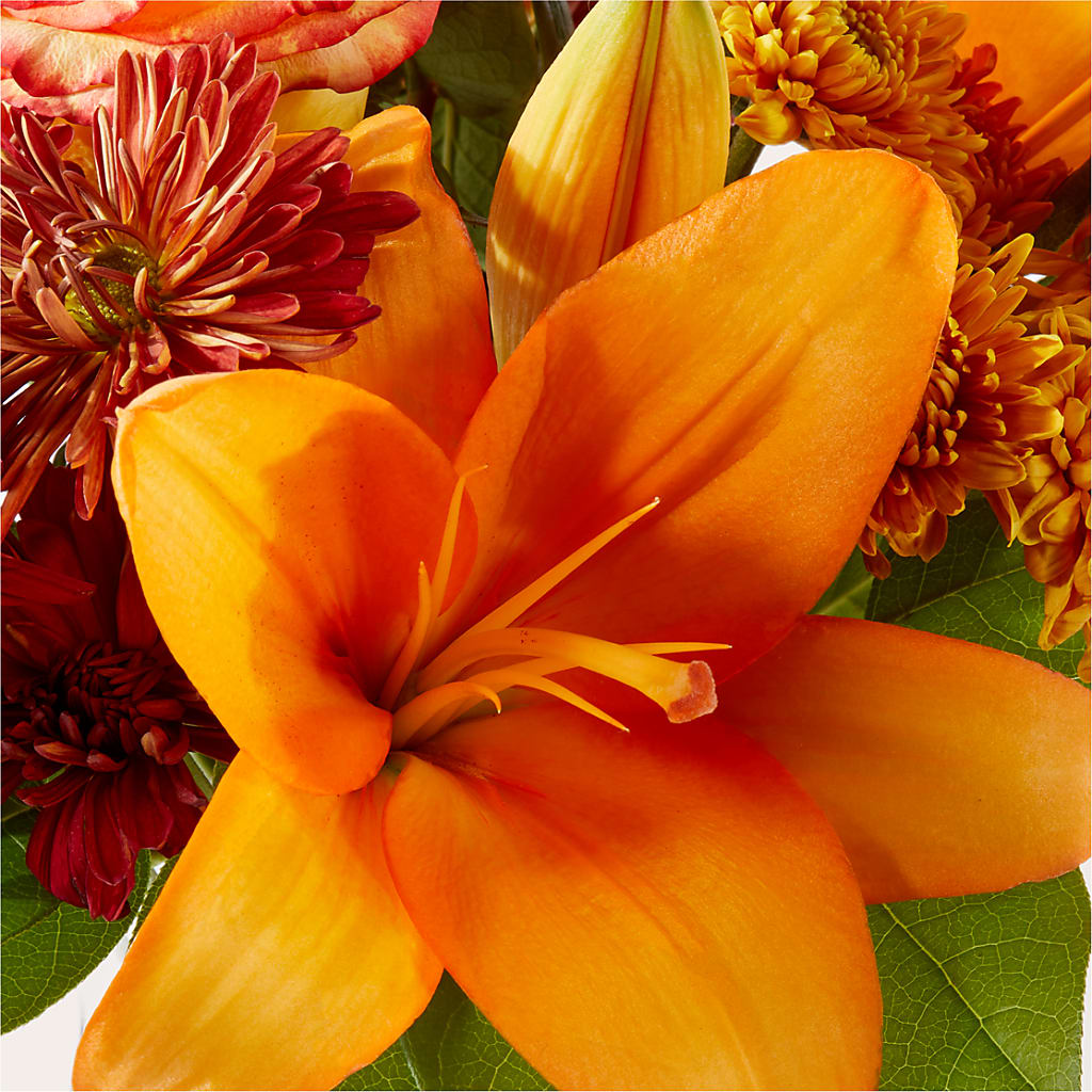 Autumnal Aroma Bouquet –  Fleuriste Boutique Du Moulin, L'ile-perrot PQ