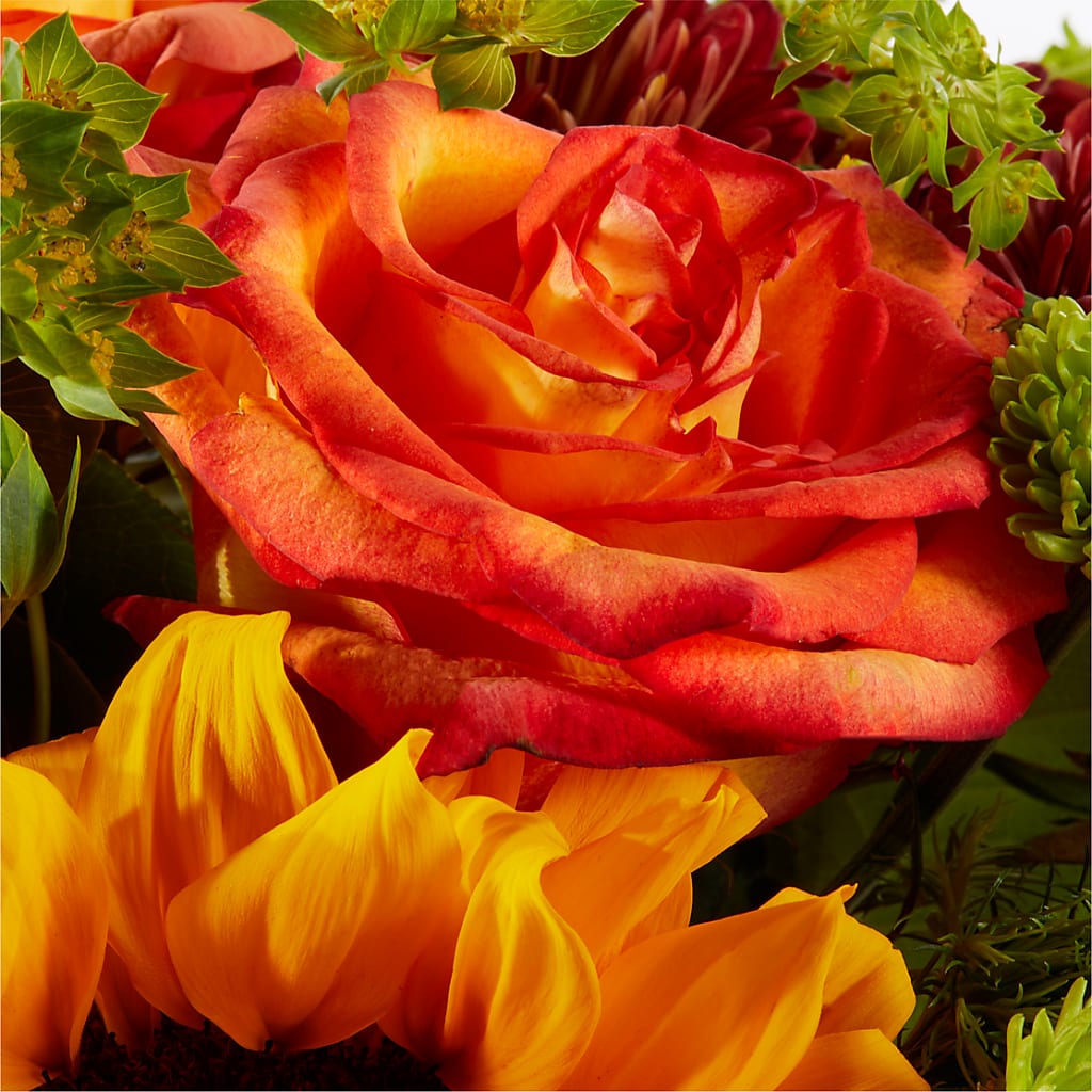 Harvest Festival Bouquet –  Fleuriste Boutique Du Moulin, L'ile-perrot PQ